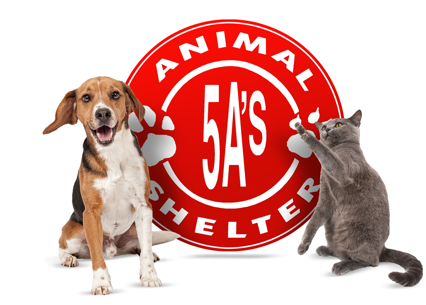 Donation for 5A's