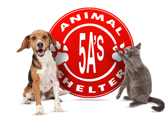 Donation for 5A's