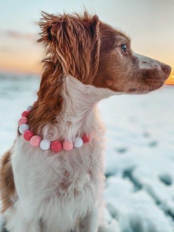 Beaded Collars
