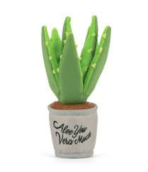 Aloe-ve You Plant
