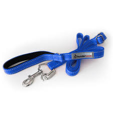 Thunder Leash