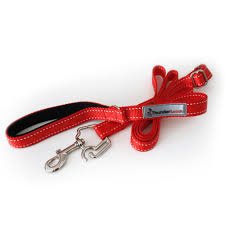 Thunder Leash