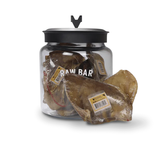 Raw Bar