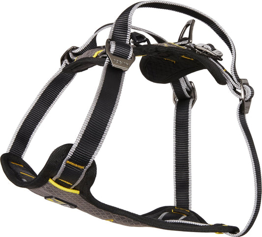 Kurgo Harness