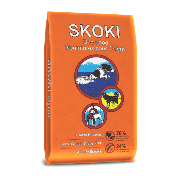 Skoki #40
