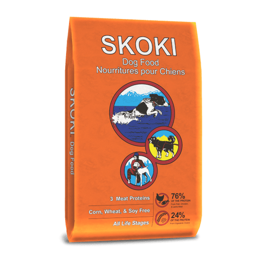 Skoki #40