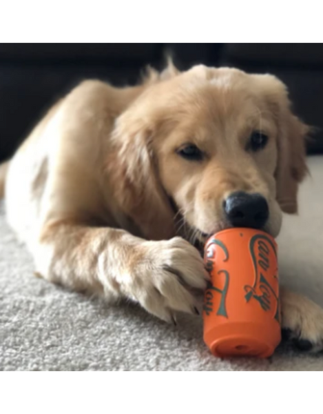 Dog Toys