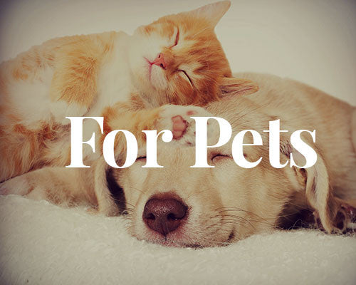 Shop for your pets